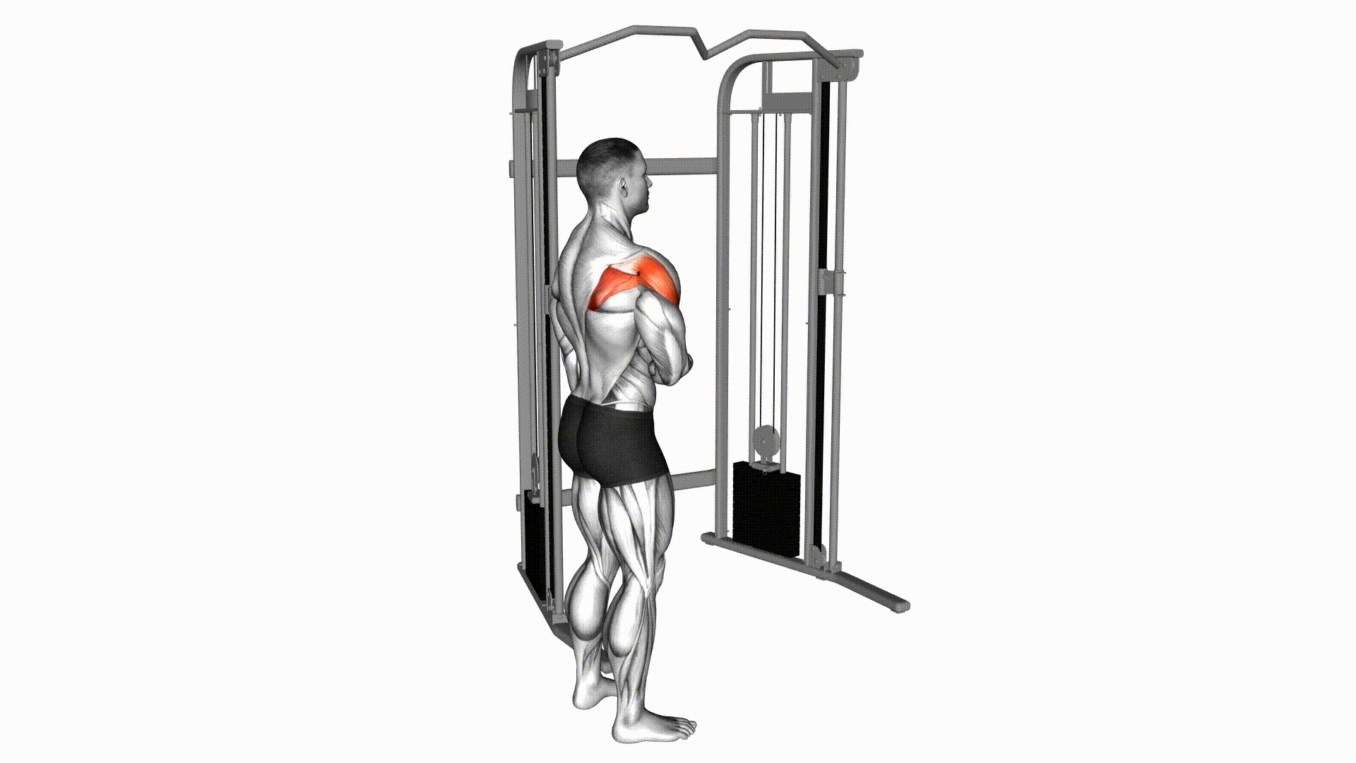 External Rotation (Cable) — Exercise | Fitnotes X