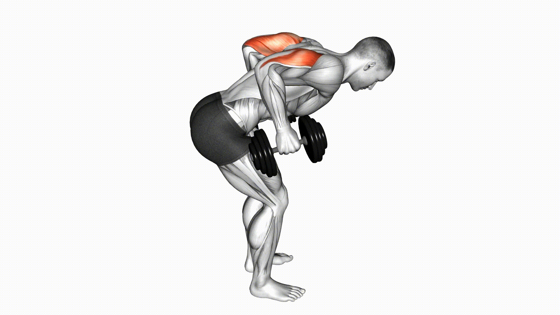 Tricep Kickback (Dumbbell) — Exercise | Fitnotes X