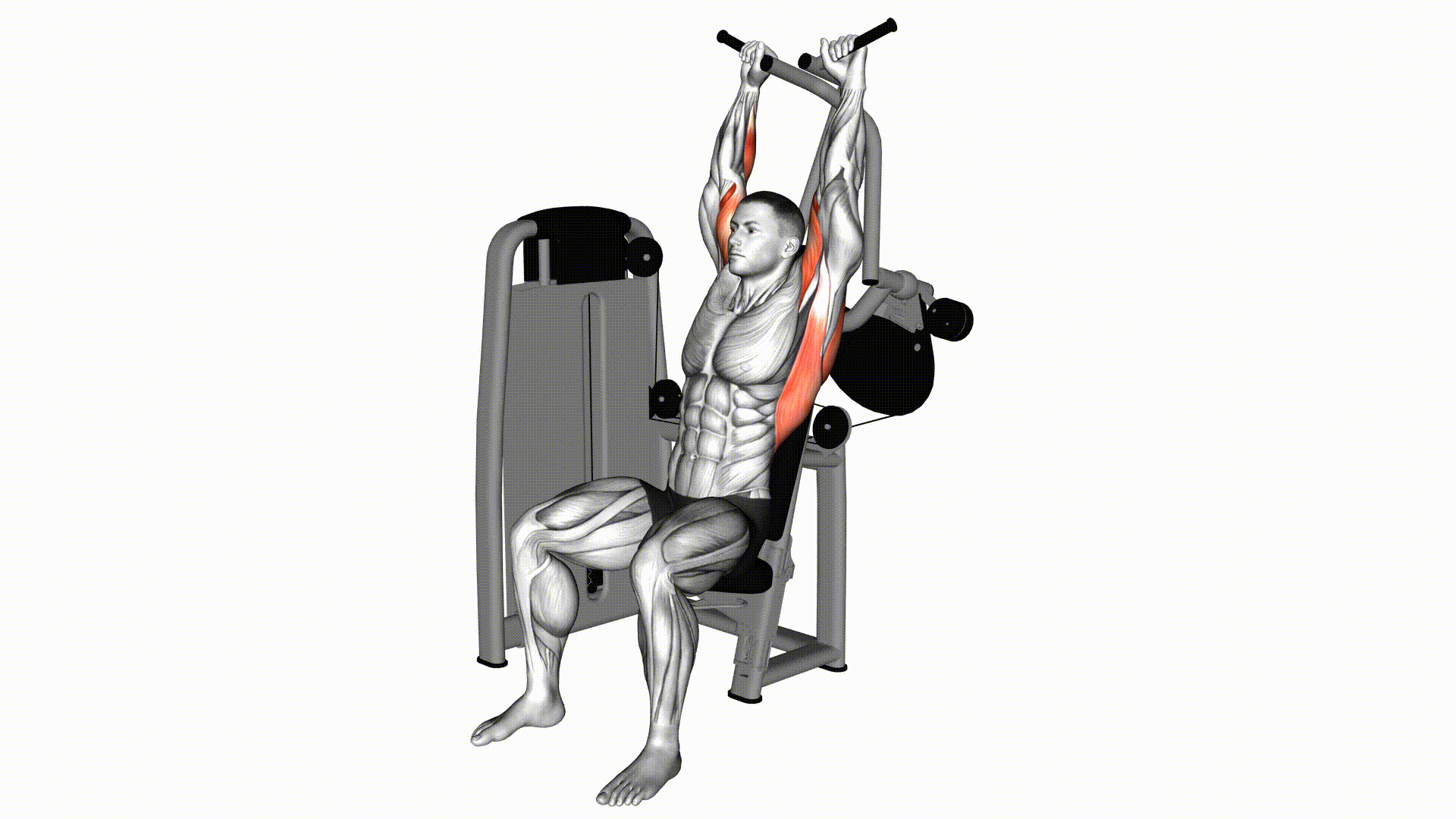 Lat Pulldown Cross (Machine 2) — Exercise | Fitnotes X