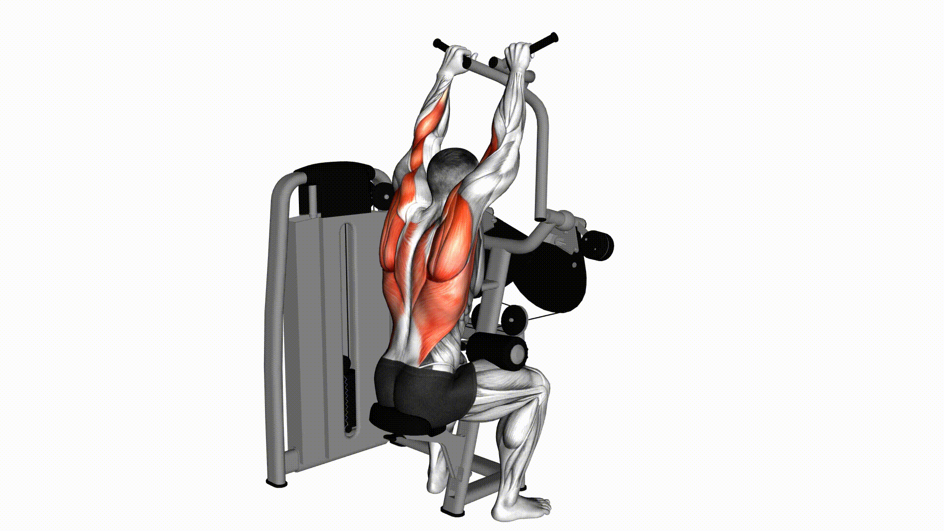 クロスラットプルダウン（マシン） — Lat Pulldown Cross (Machine) | Fitnotes X