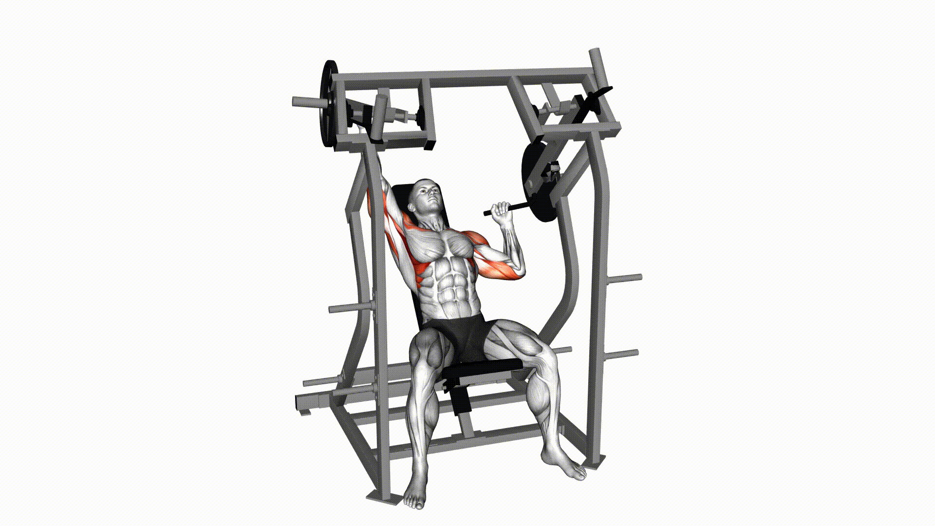 Overhead Press Seated Single Arm (Machine 2) — Exercise | Fitnotes X